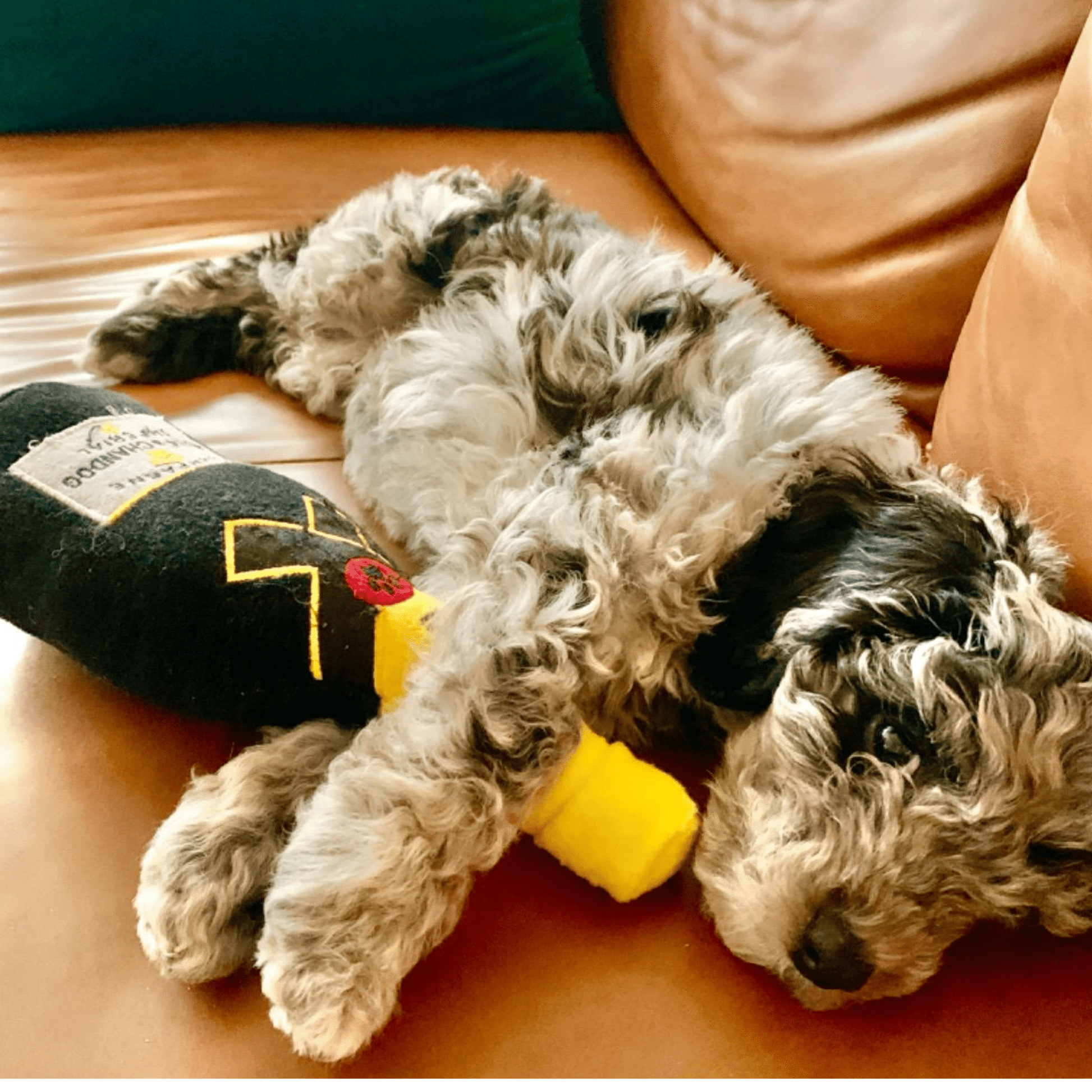 Chompagne - Pluche Piepende Champagnespeeltje - Mivero