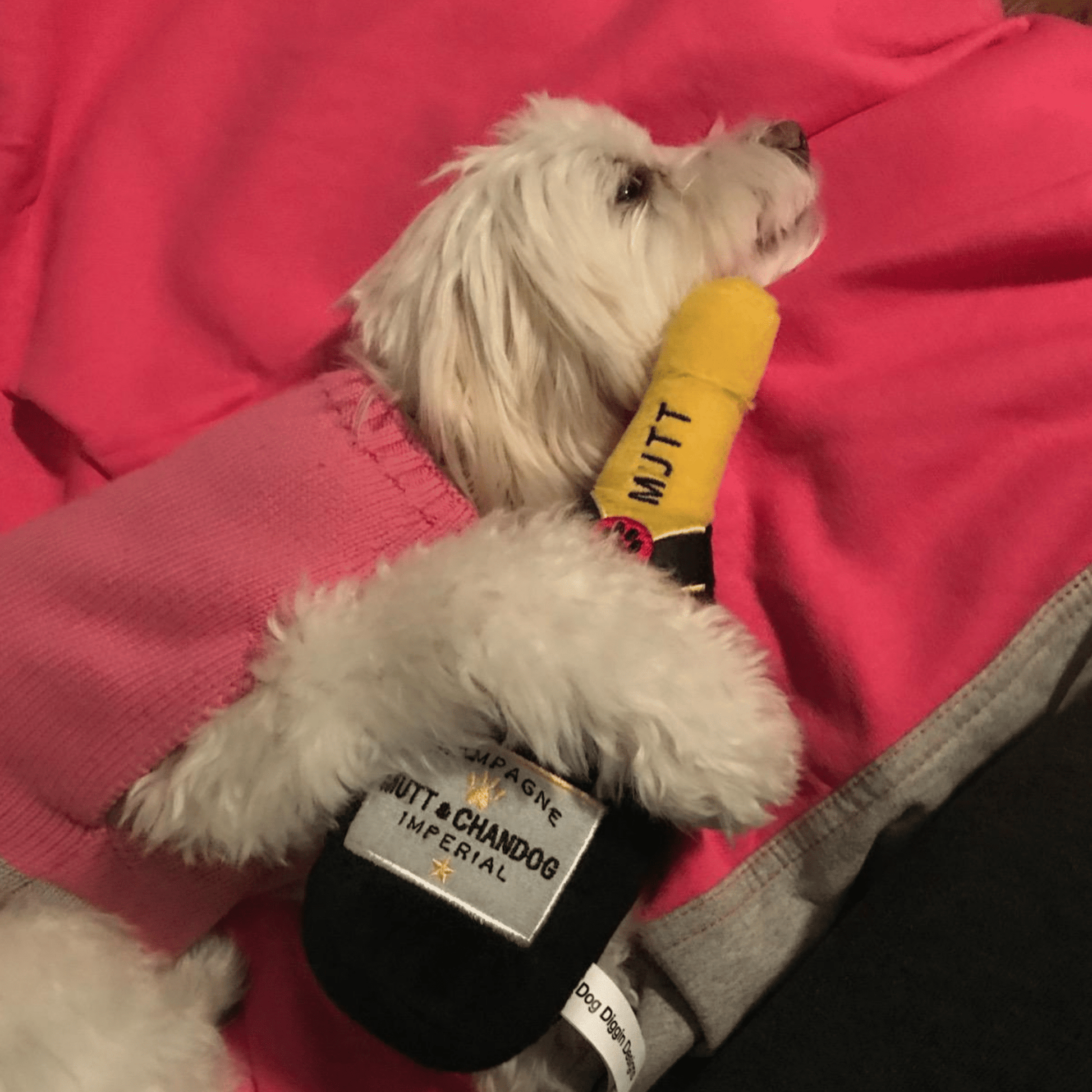 Chompagne - Pluche Piepende Champagnespeeltje - Mivero