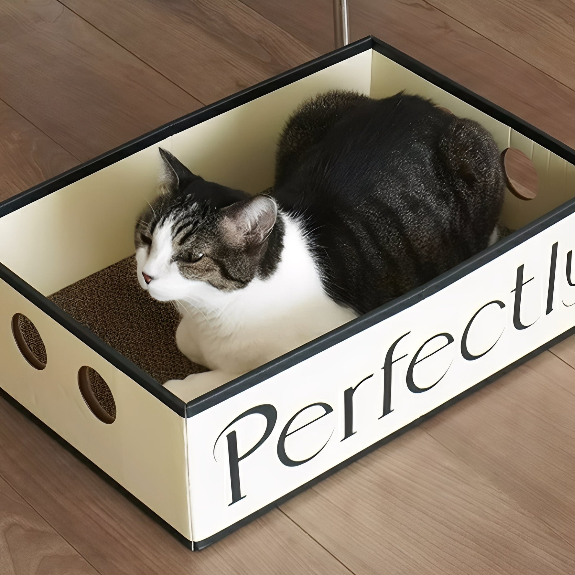 Clawzy - Ovale Kartonnen Krabmand - Mivero