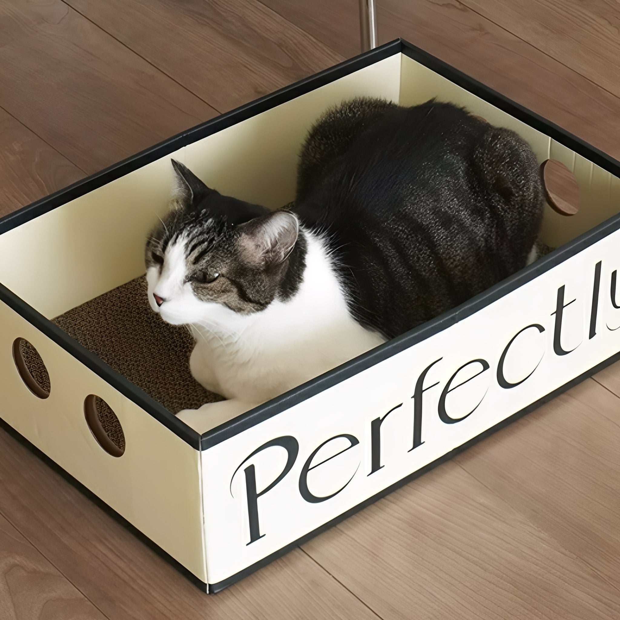 Clawzy - Ovale Kartonnen Krabmand - Mivero