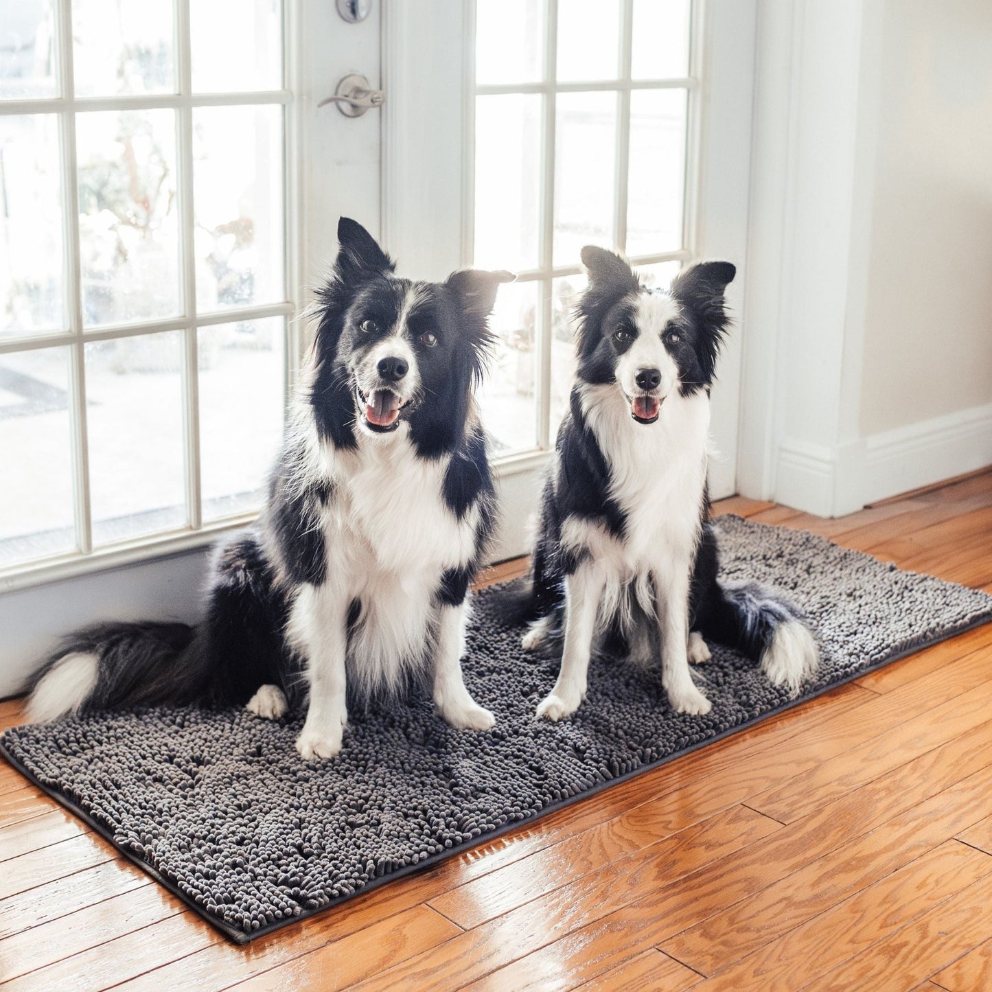 cleanpaw - honden deurmat absorberend antislip - mivero