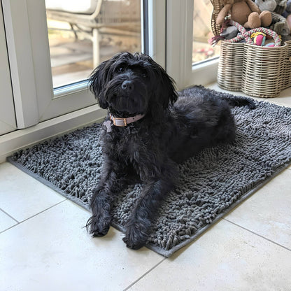 CleanPaw - Honden Deurmat Absorberend Antislip - Mivero