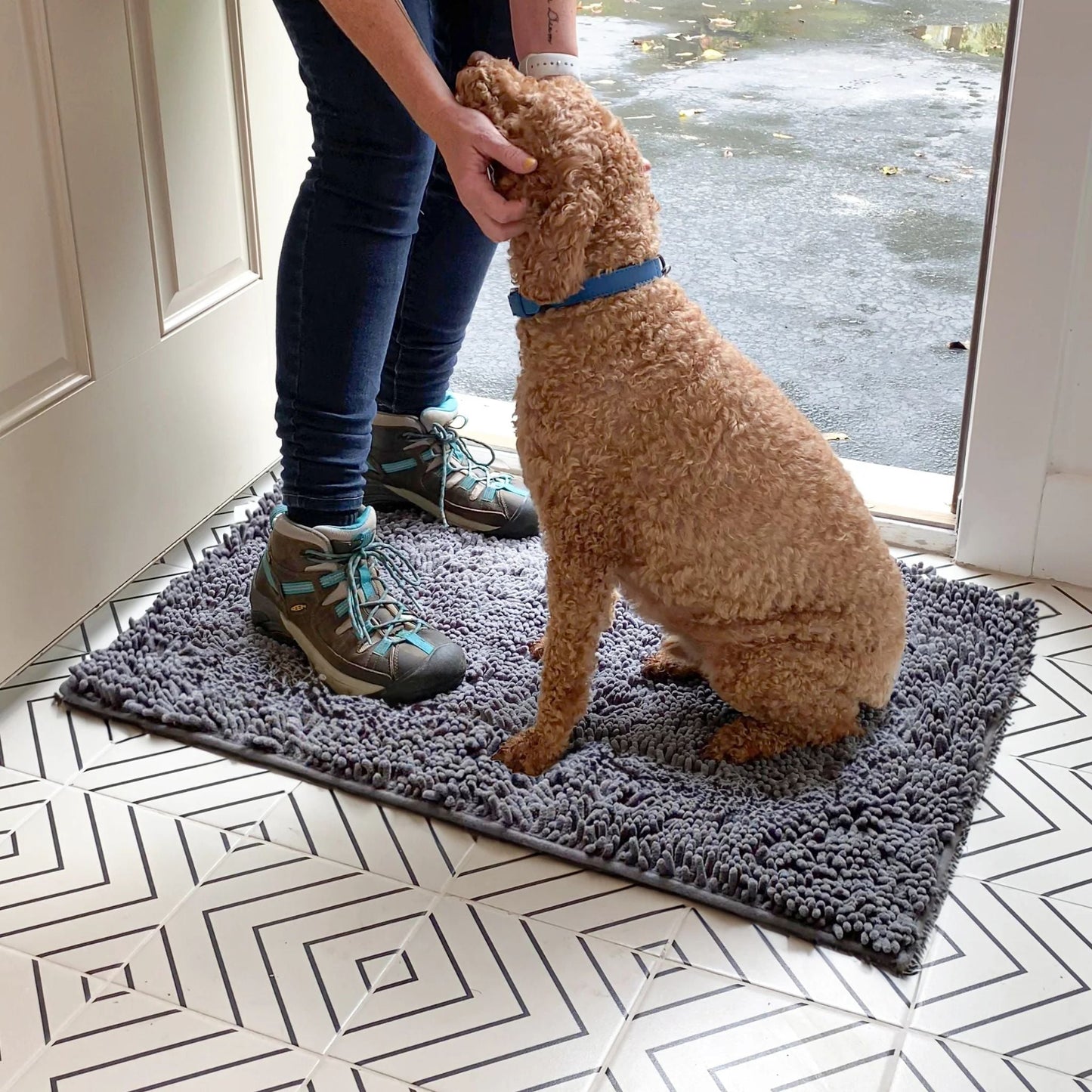 cleanpaw - honden deurmat absorberend antislip - mivero