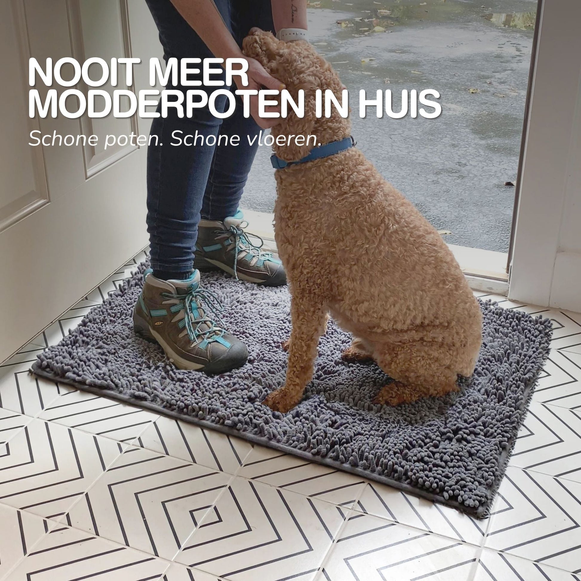 Color G Deurmat Binnen 80 X 120 Cm, Dirt Trapper, Absorberend, Zacht Antislip Wasbare Voordeur Mat, Ingang Tapijt Voor Hal, Huisdieren (Wit Color G Deurmat Binnen 80 X 120 Cm, Dirt Trapper, Absorberend, Zacht Antislip Wasbare Voordeur Mat, Ingang Tapijt Voor Hal, Huisdieren (Wit
