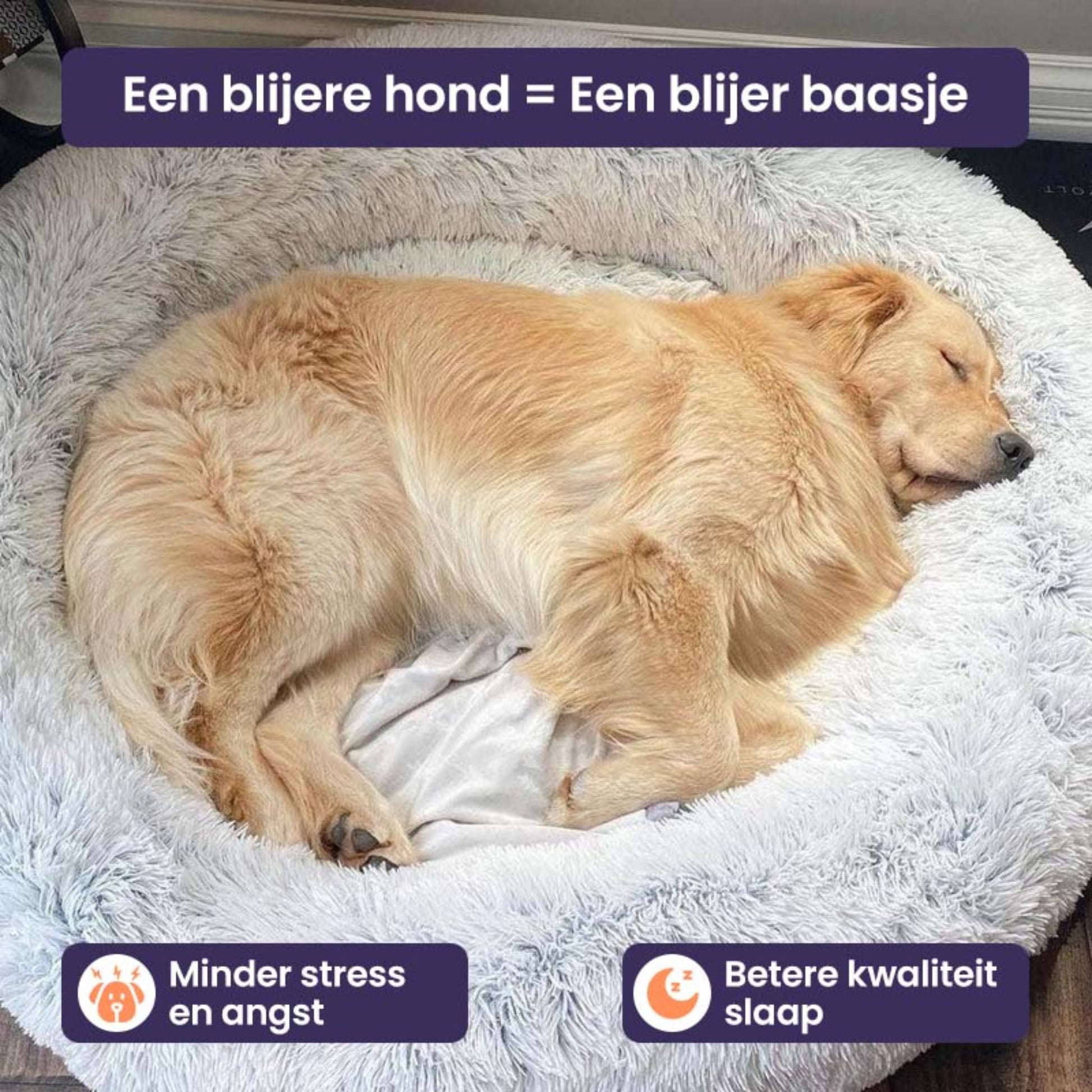 Cloud 9 Hondenbed - Ultiem comfort voor uw hond! - Mivero