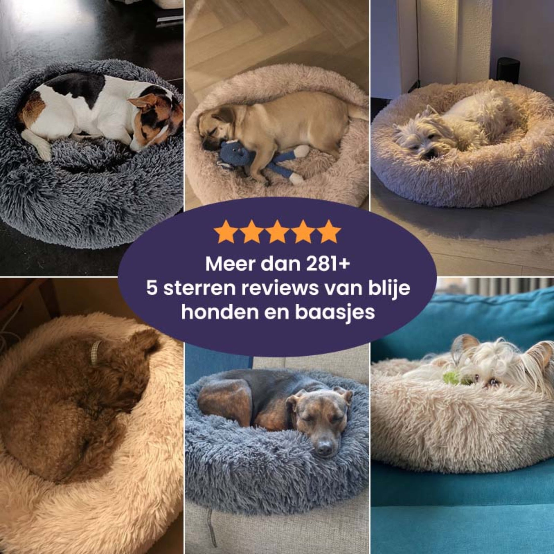 Cloud 9 Hondenbed - Ultiem comfort voor uw hond! - Mivero