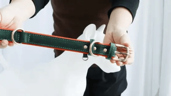 PawID - Gegraveerde Leren Hondenhalsband