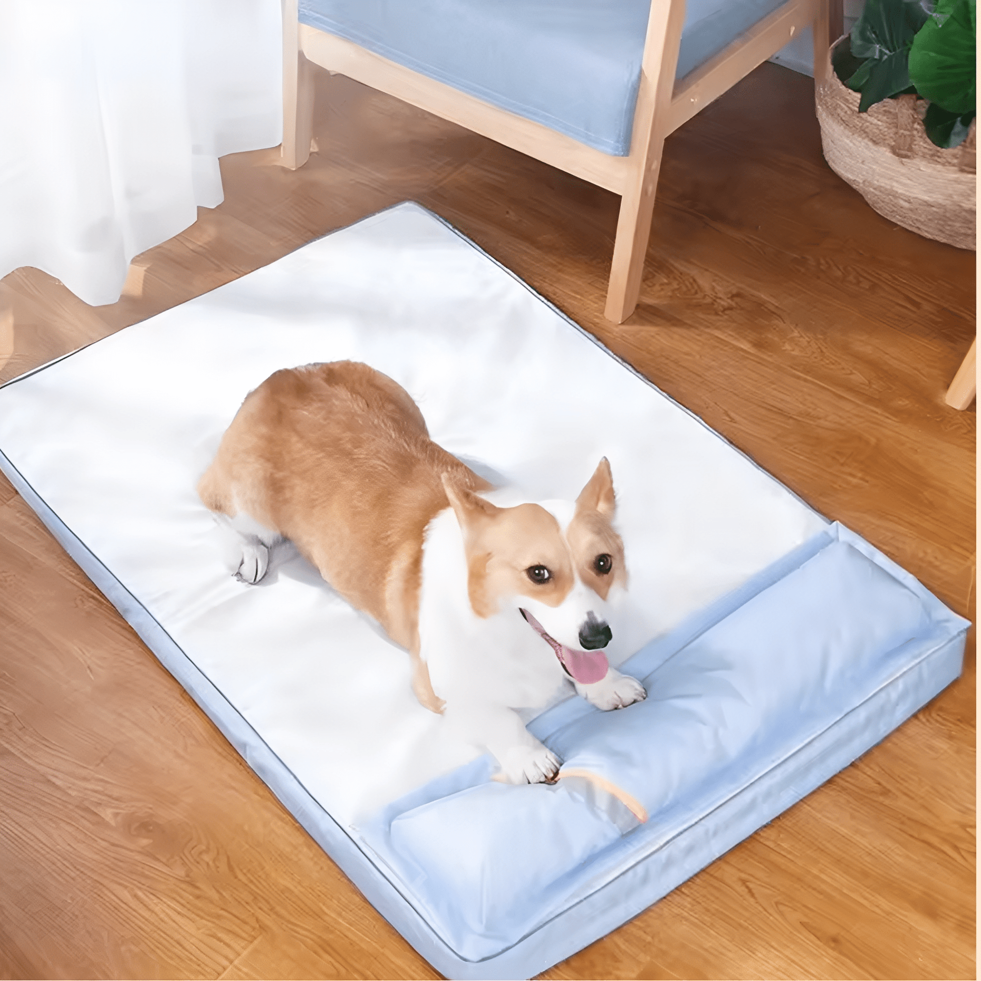 ComfiPaws - Orthopedisch Wasbaar Hondenbed - Mivero