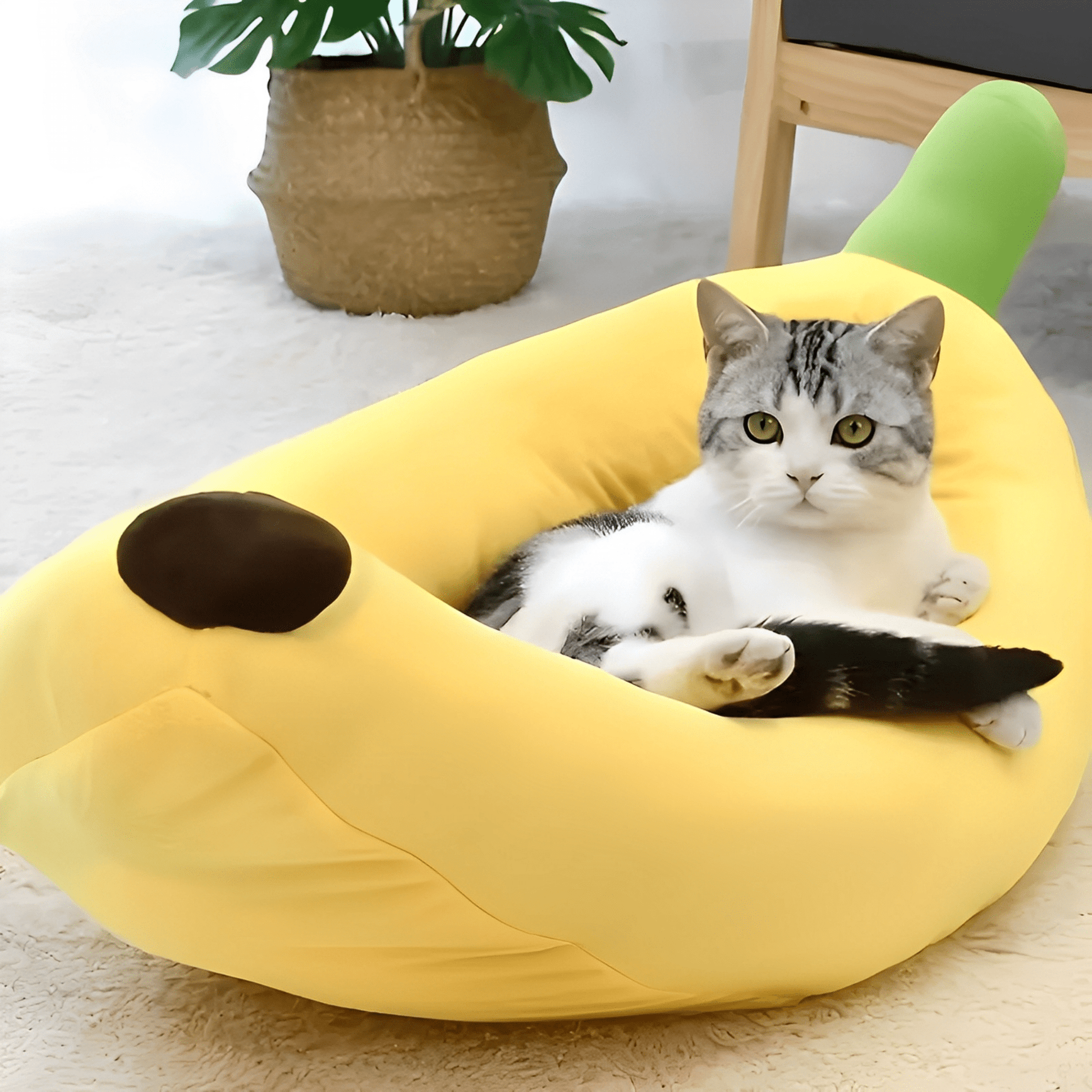 CozyBanana - Warme geborgenheid voor huisdieren - Mivero