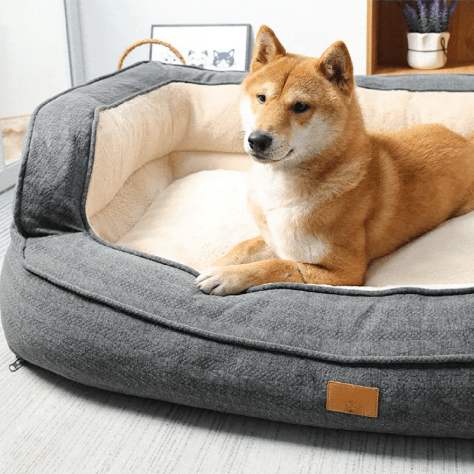 Cozyra - Orthopedisch Pluche Hondenbed - Mivero