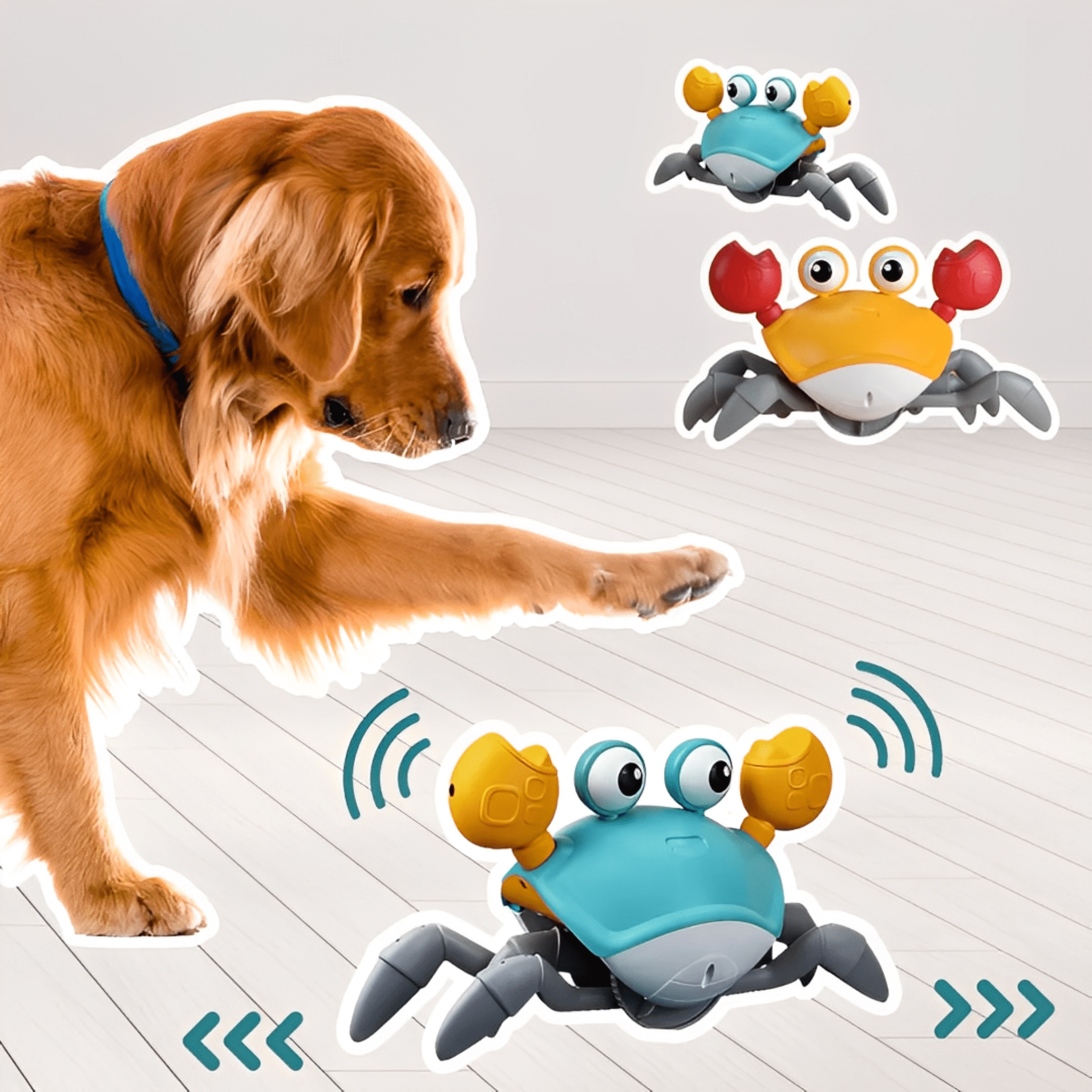 Crabby - De ultieme uitdaging voor elke hond! - Mivero