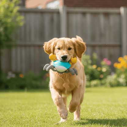 Crabby - De ultieme uitdaging voor elke hond! - Mivero