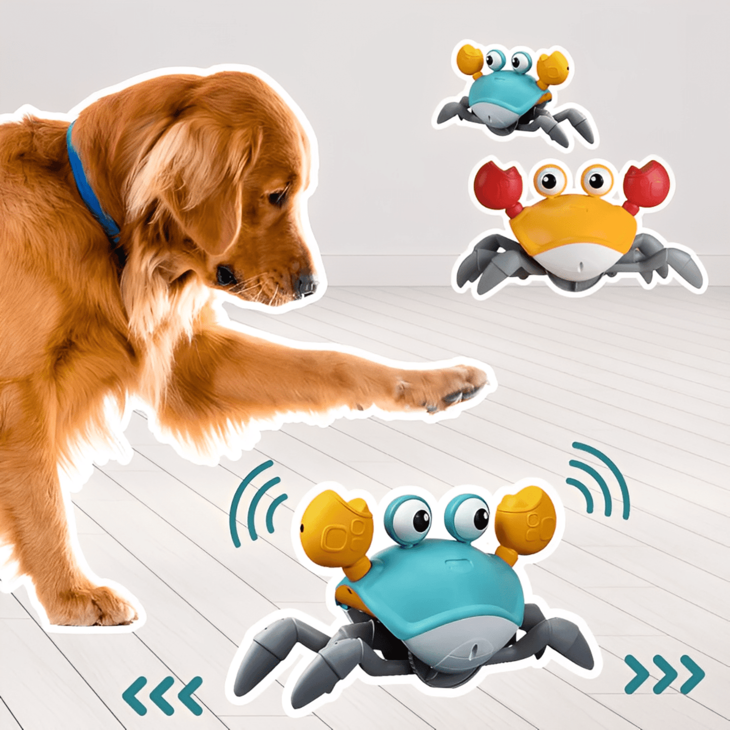 crabby - de ultieme uitdaging voor elke hond! - mivero