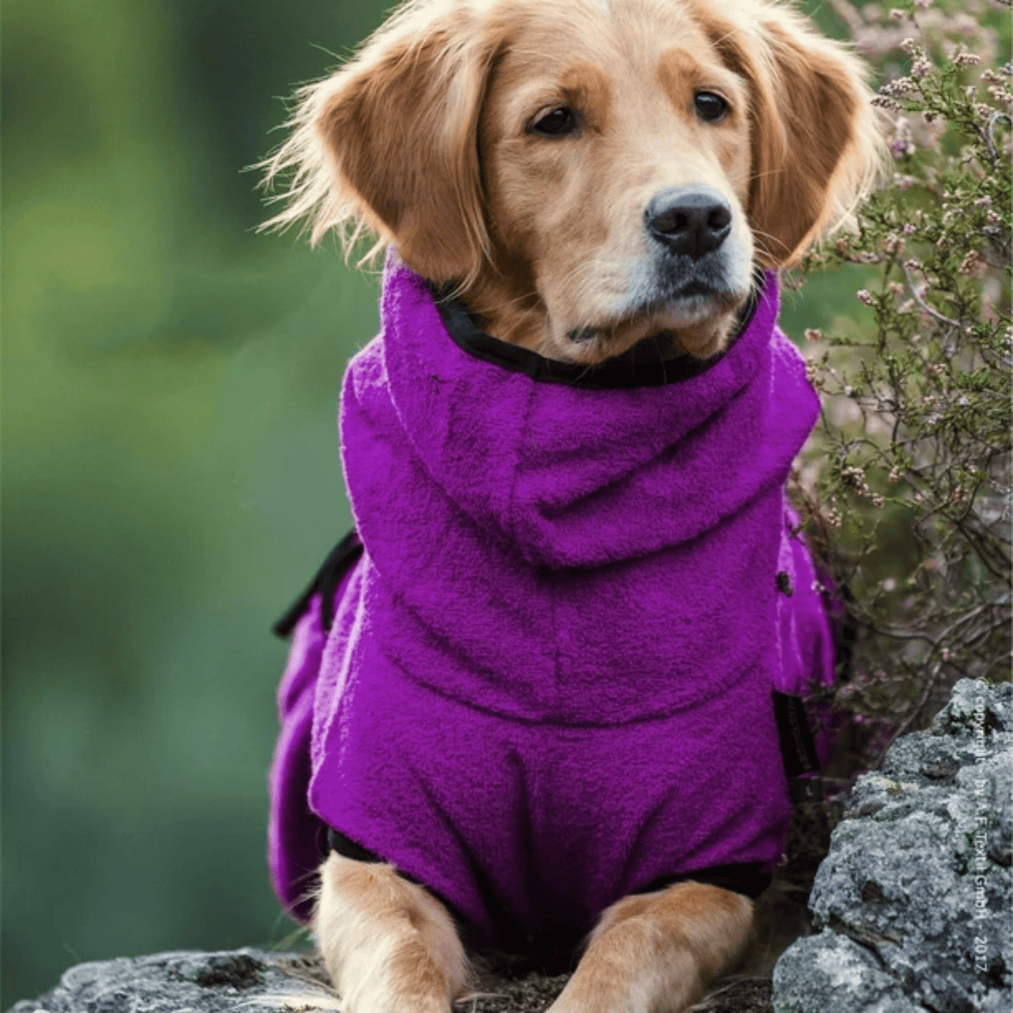 cuddlecoat - absorberende katoen - frotté hondenbadjas - mivero