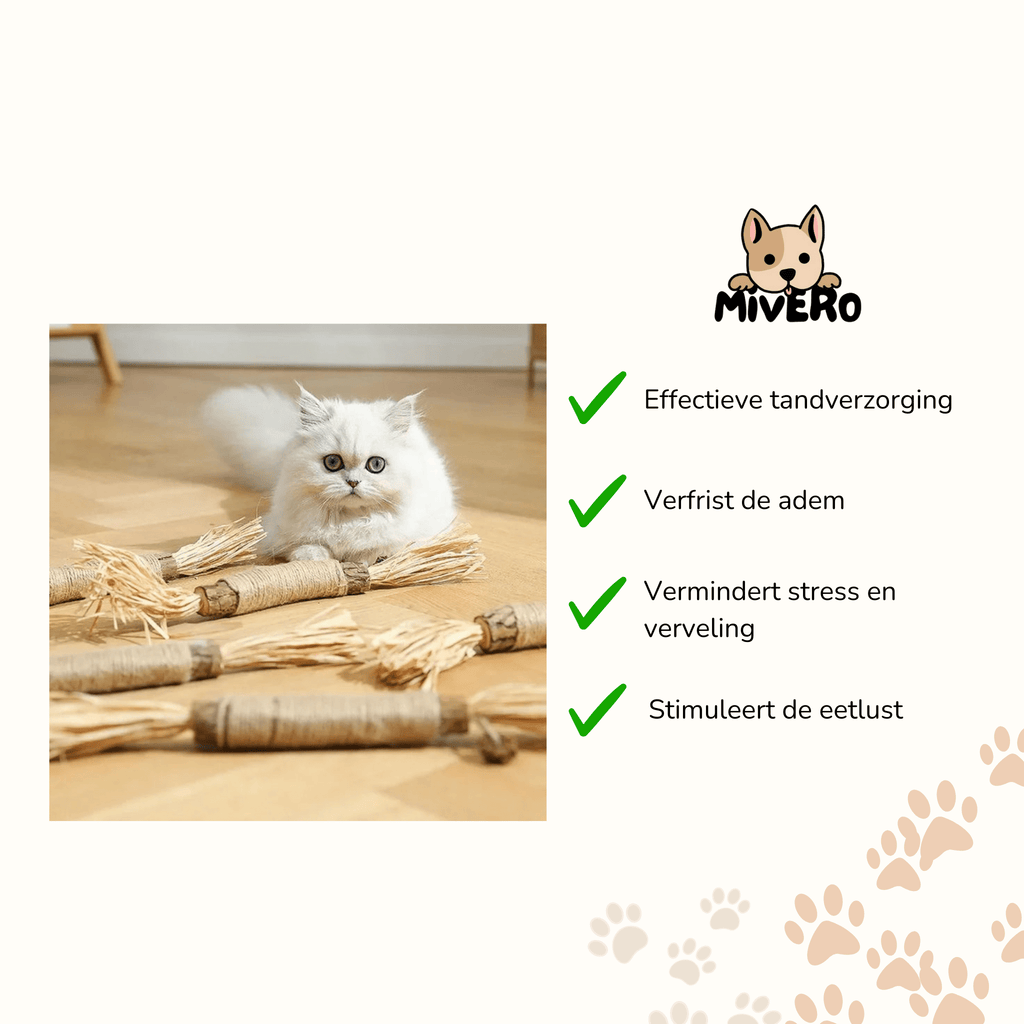 Dentibite - Katten Matatabi Kauwstokjes Tandverzorging - Mivero