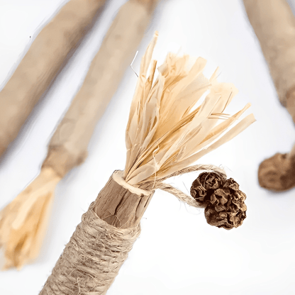 Dentibite - Katten Matatabi Kauwstokjes Tandverzorging - Mivero