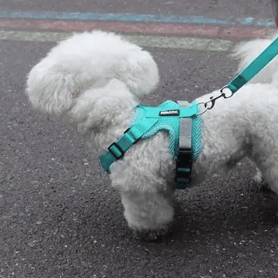 PawFit - Verstelbaar Mesh Hondentuig