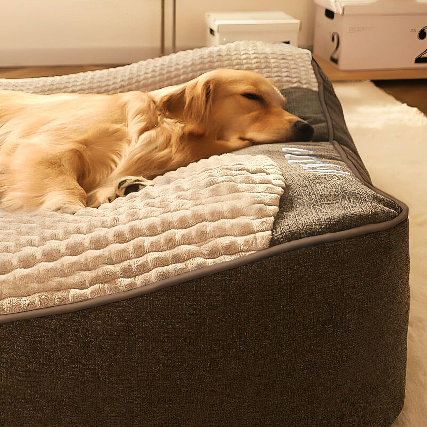dozer - hondenbed grote honden orthopedisch - mivero