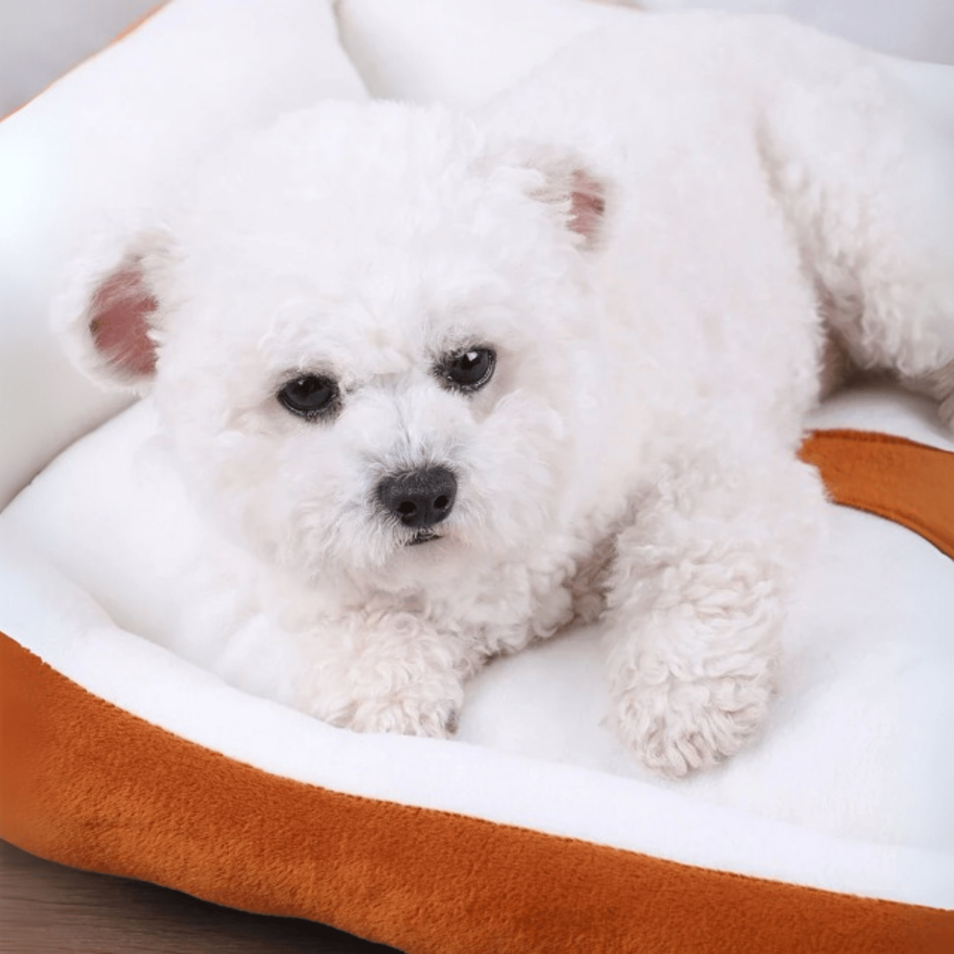 DreamBed - Pluche Knusse Huisdierenmand - Mivero