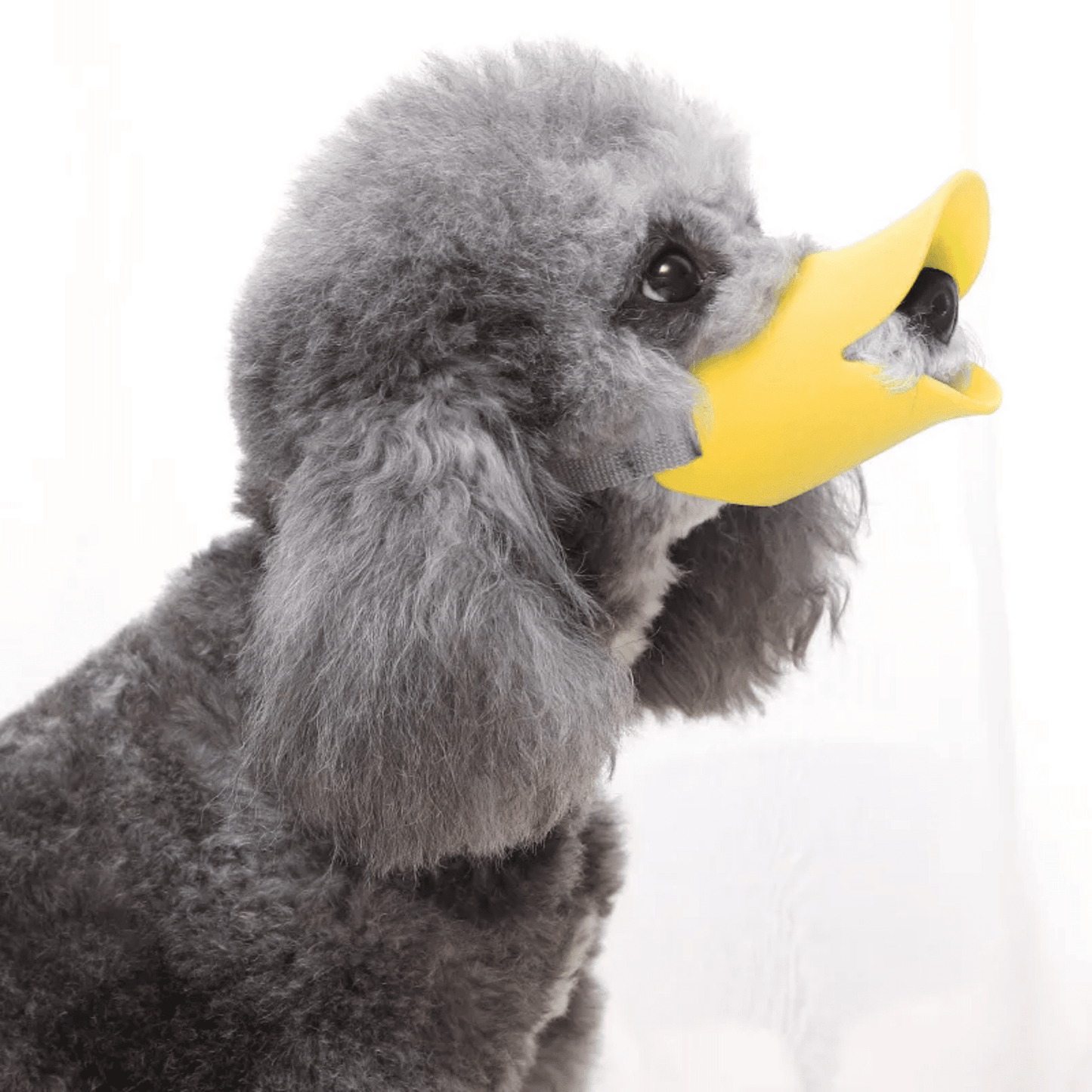 ducko - zachte eendenbek hondenmuilband - mivero