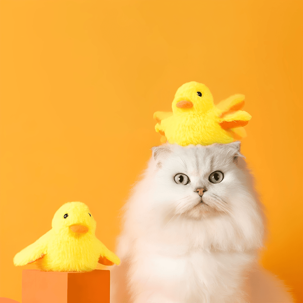 Ducksy - Kattenspeeltje Flappende Eend Met Geluid USB - oplaadbaar - Mivero