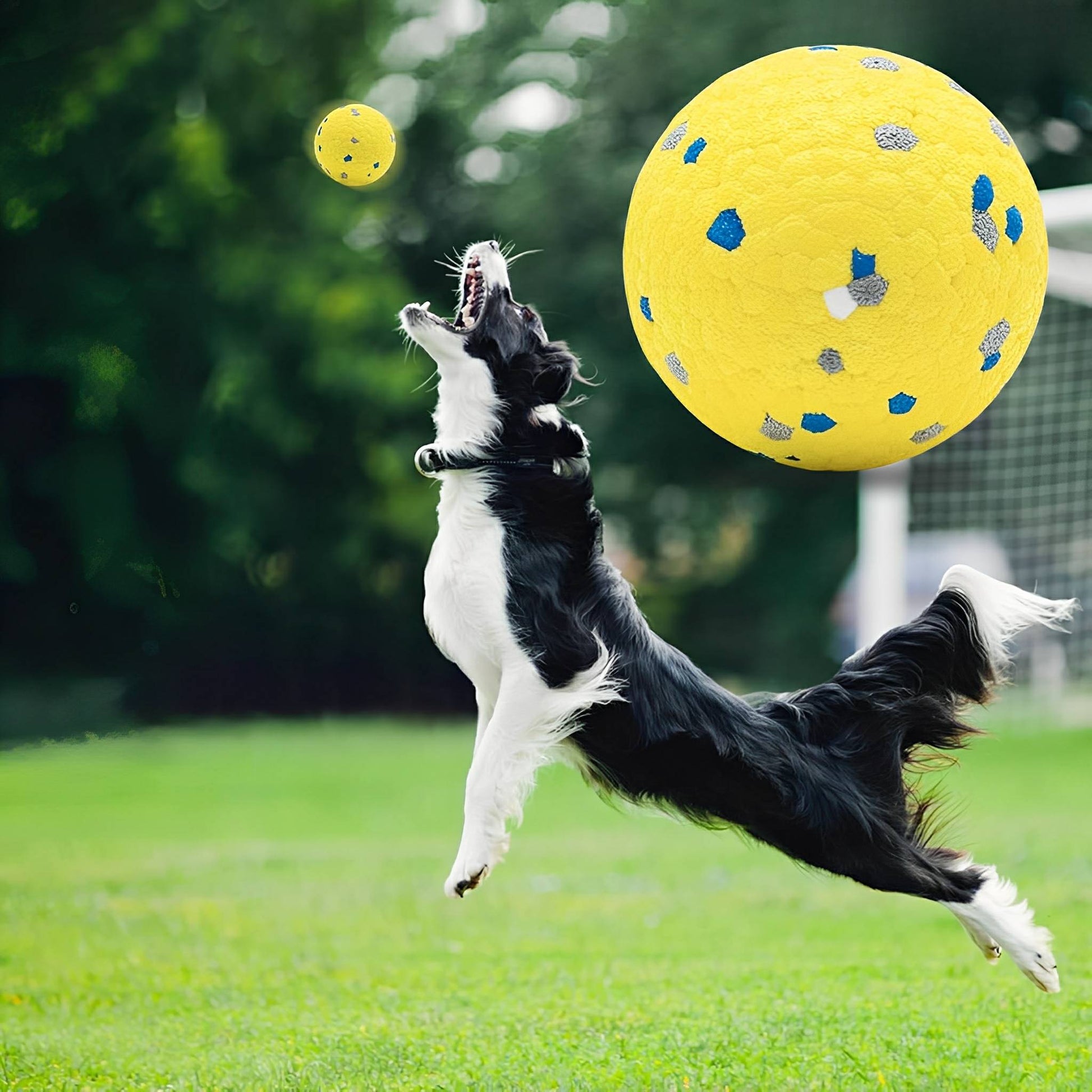 Durabounce - Hondenbal Sterke Kauwers Stuitert Hoog - Mivero