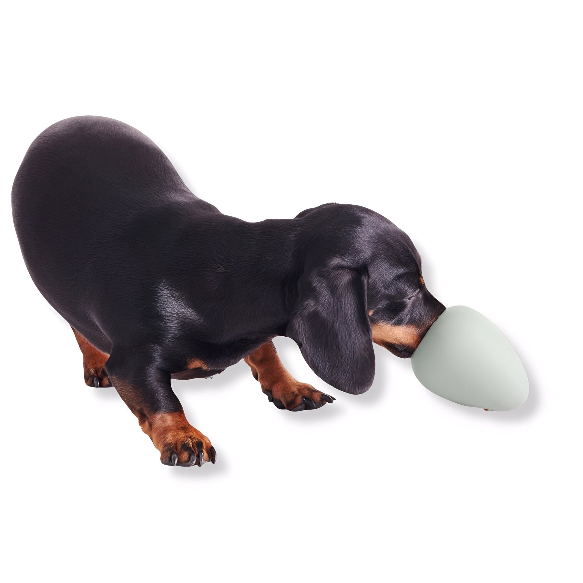 EcoChew - Interactief Traktatiespeeltje Hond - Mivero