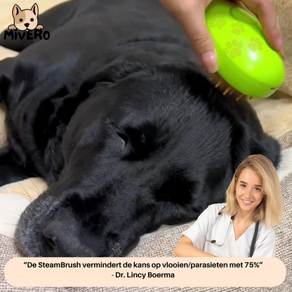 SteamBrush - Heeft jouw hond last van haaruitval?