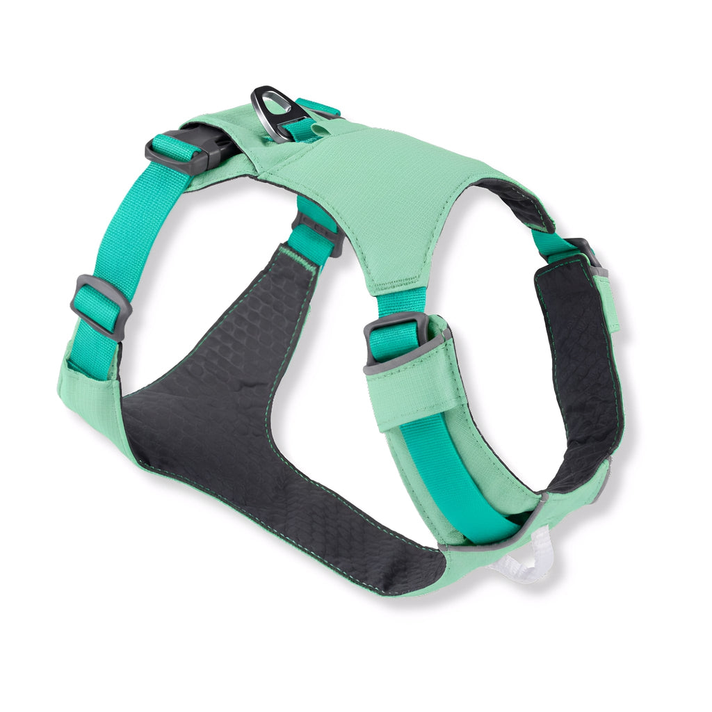 FeatherGuard - Hondentuig Lichtgewicht Verstelbaar Reflecterend - Mivero