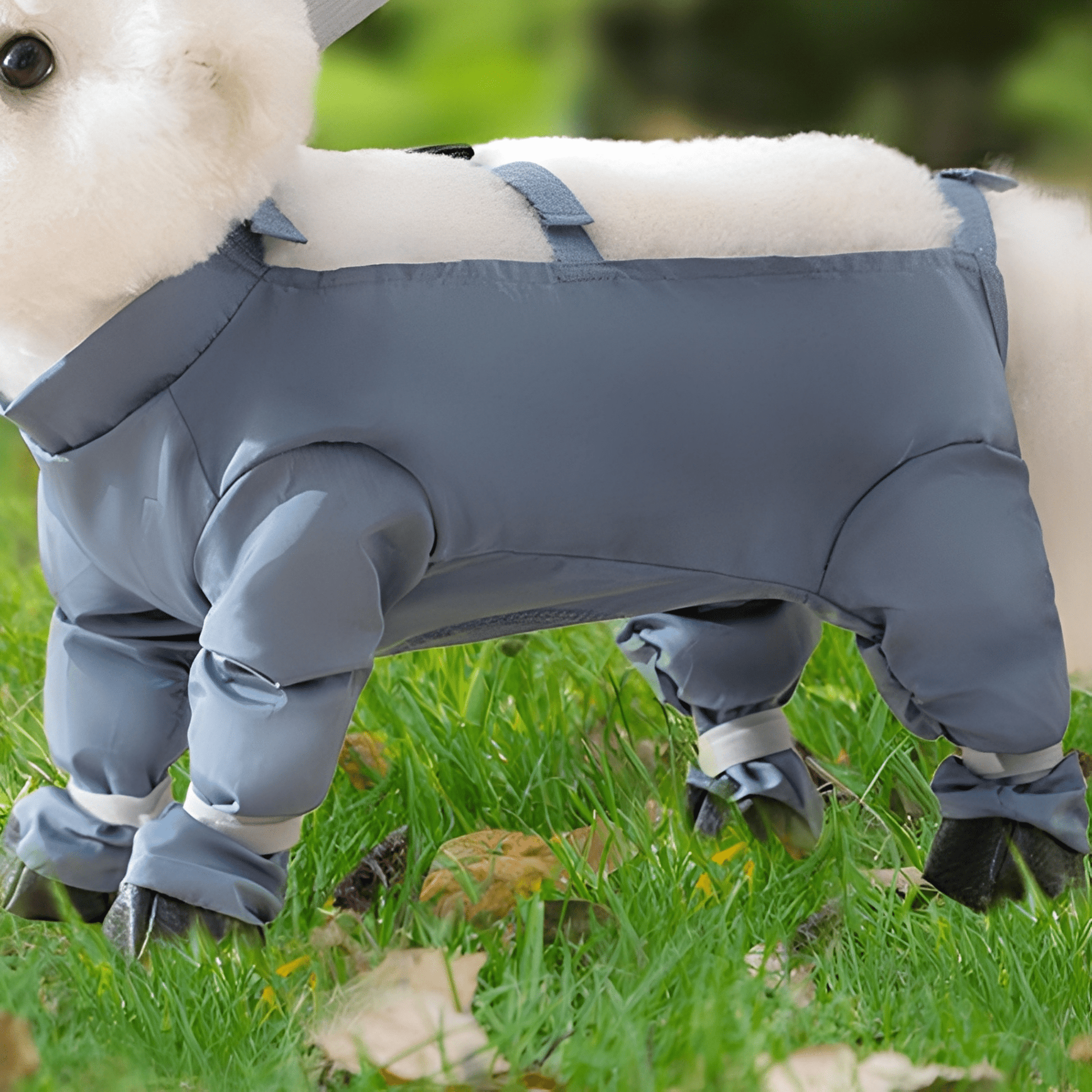 FetchCoat - Vuilafstotende Lichtgewicht Hondenjas - Mivero