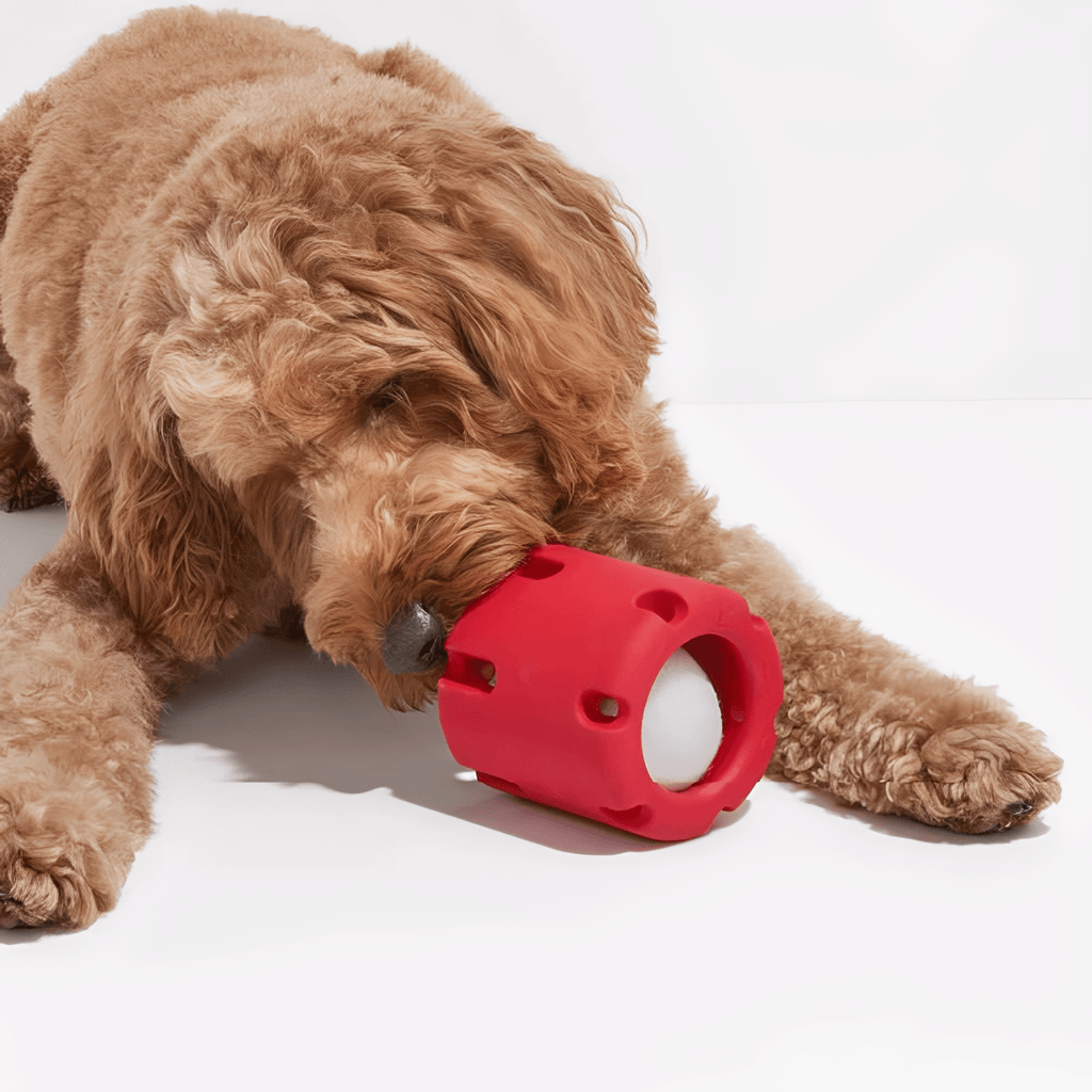 Fetchnest - Hondenspeelgoed Interactief Met Tennisbal - Mivero