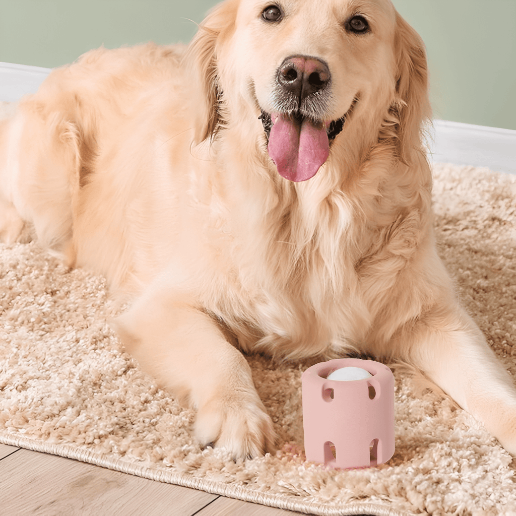 Fetchnest - Hondenspeelgoed Interactief Met Tennisbal - Mivero