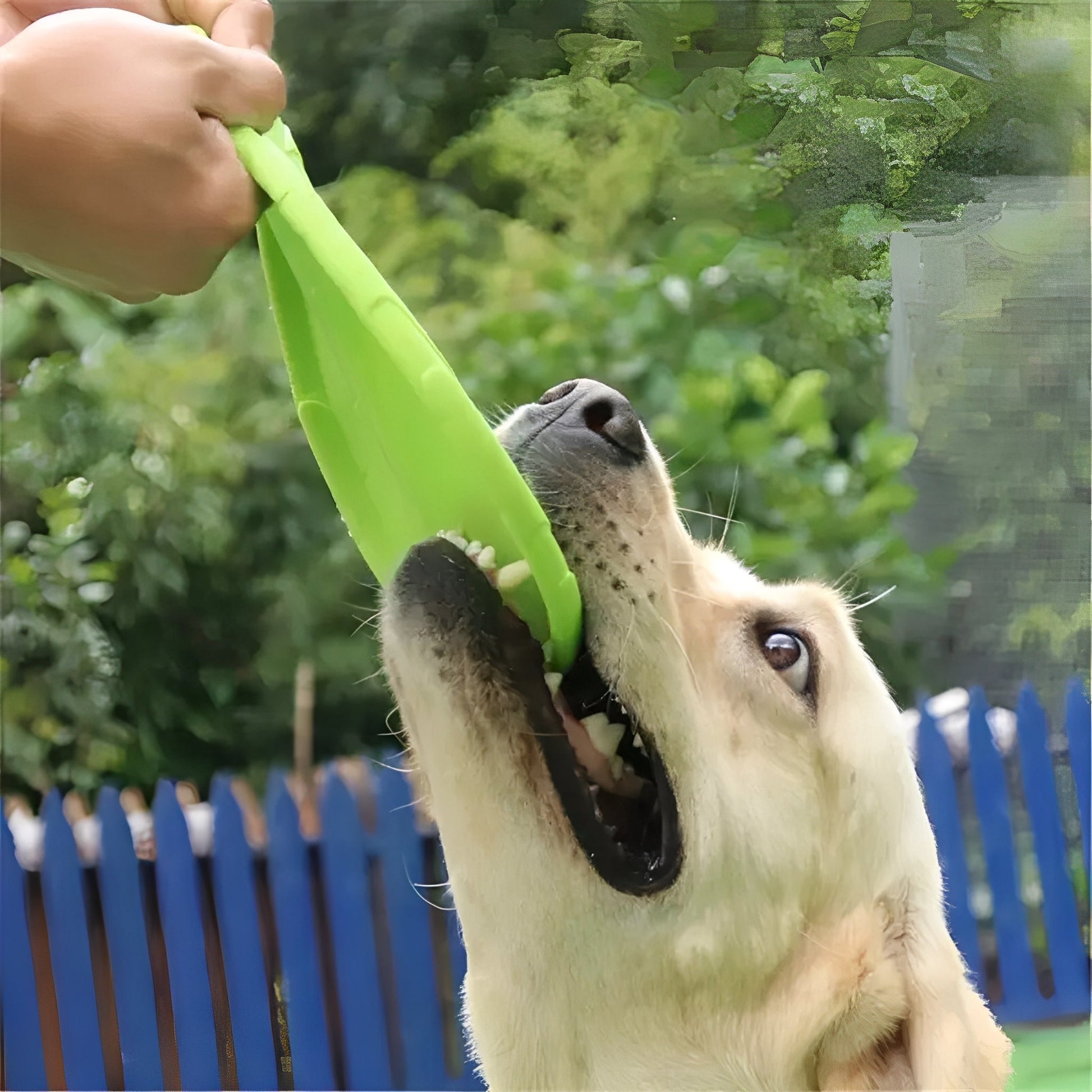 Fetchure - Drijvende Siliconen Hondendisc - Mivero