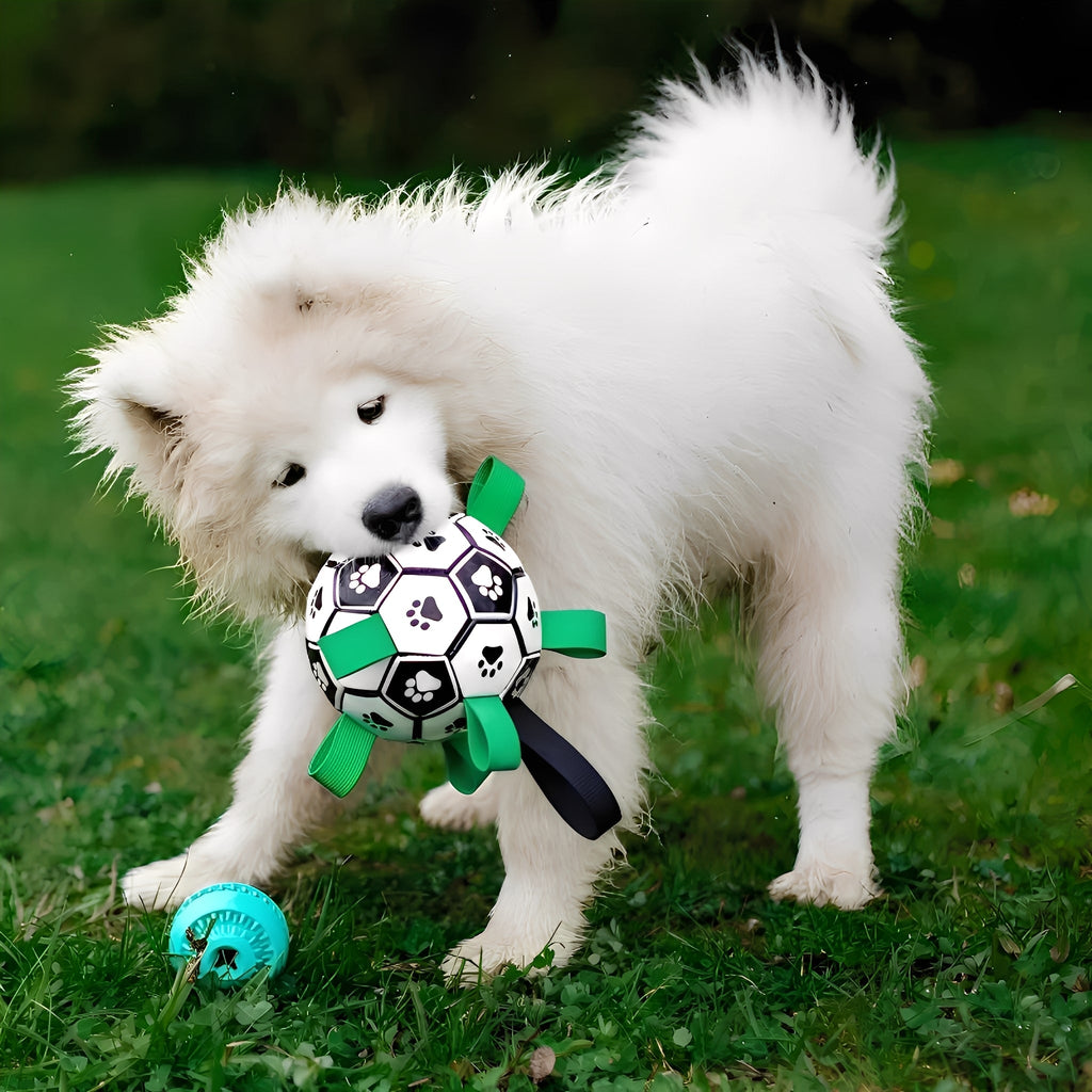 FlappyBall - Hondenbal Met Touwlussen Bijtbestendig - Mivero