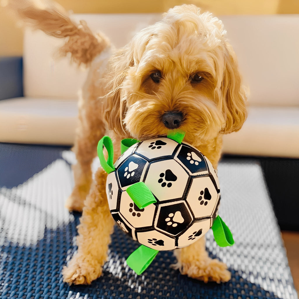 FlappyBall - Hondenbal Met Touwlussen Bijtbestendig - Mivero