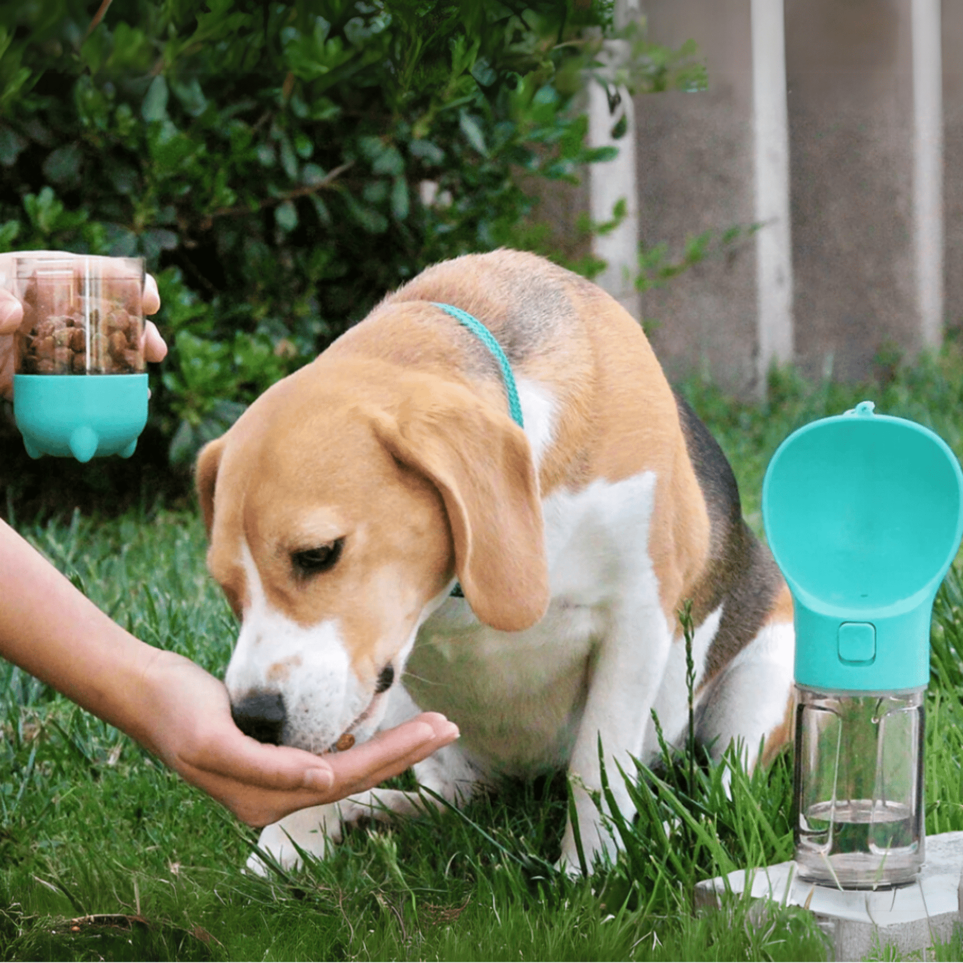 Floky - De alles in 1 oplossing voor avonturen met je hond! - Mivero