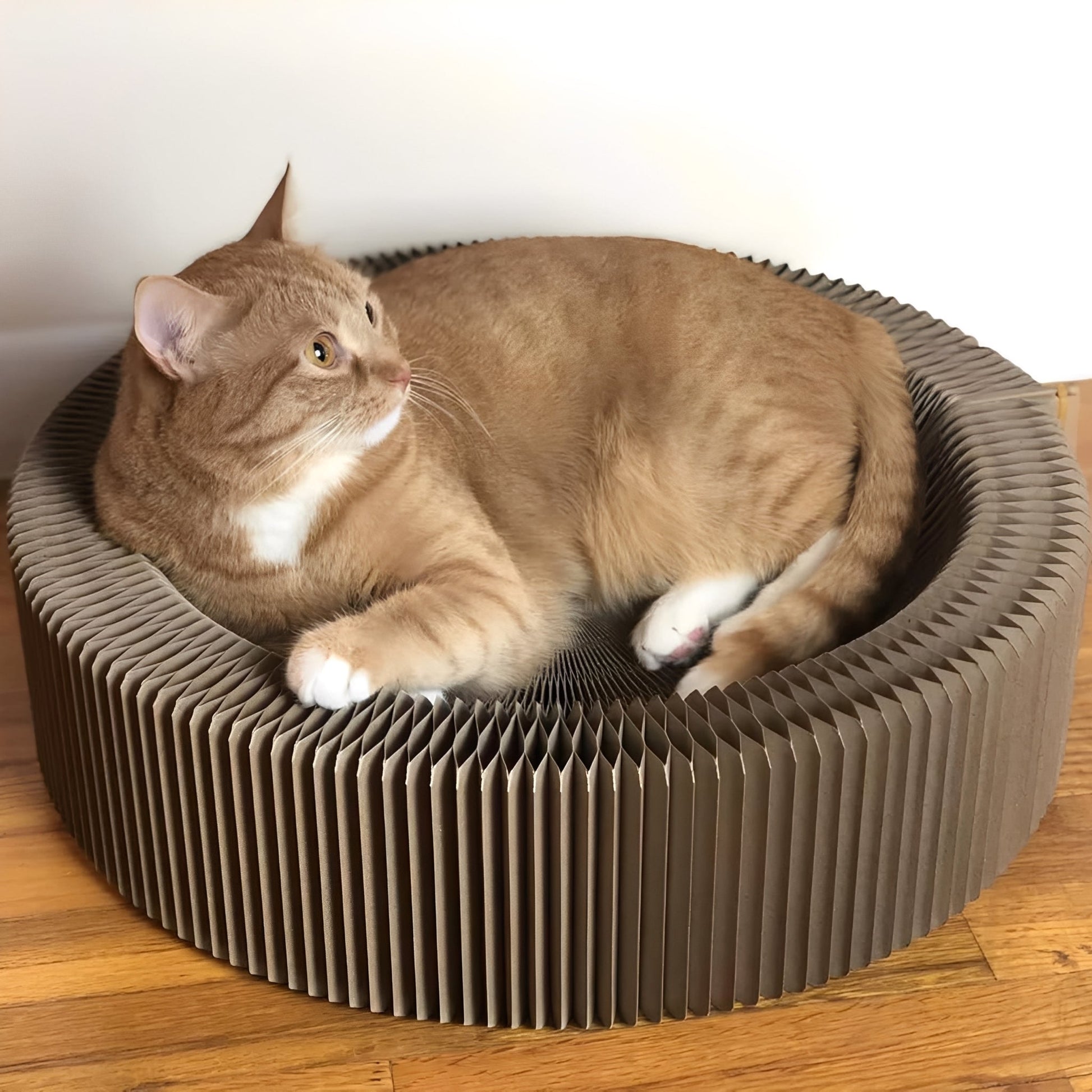 FoldNest - Opvouwbare Kartonnen Kattenlounge - Mivero