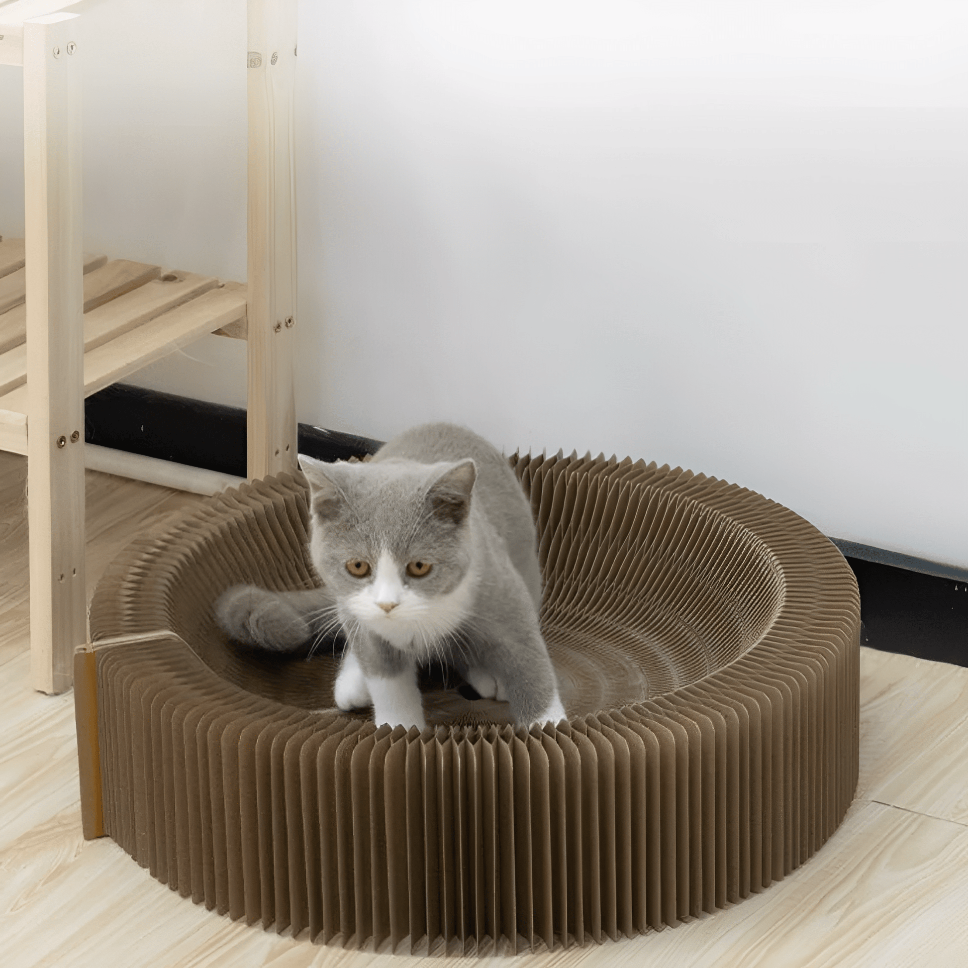 FoldNest - Opvouwbare Kartonnen Kattenlounge - Mivero
