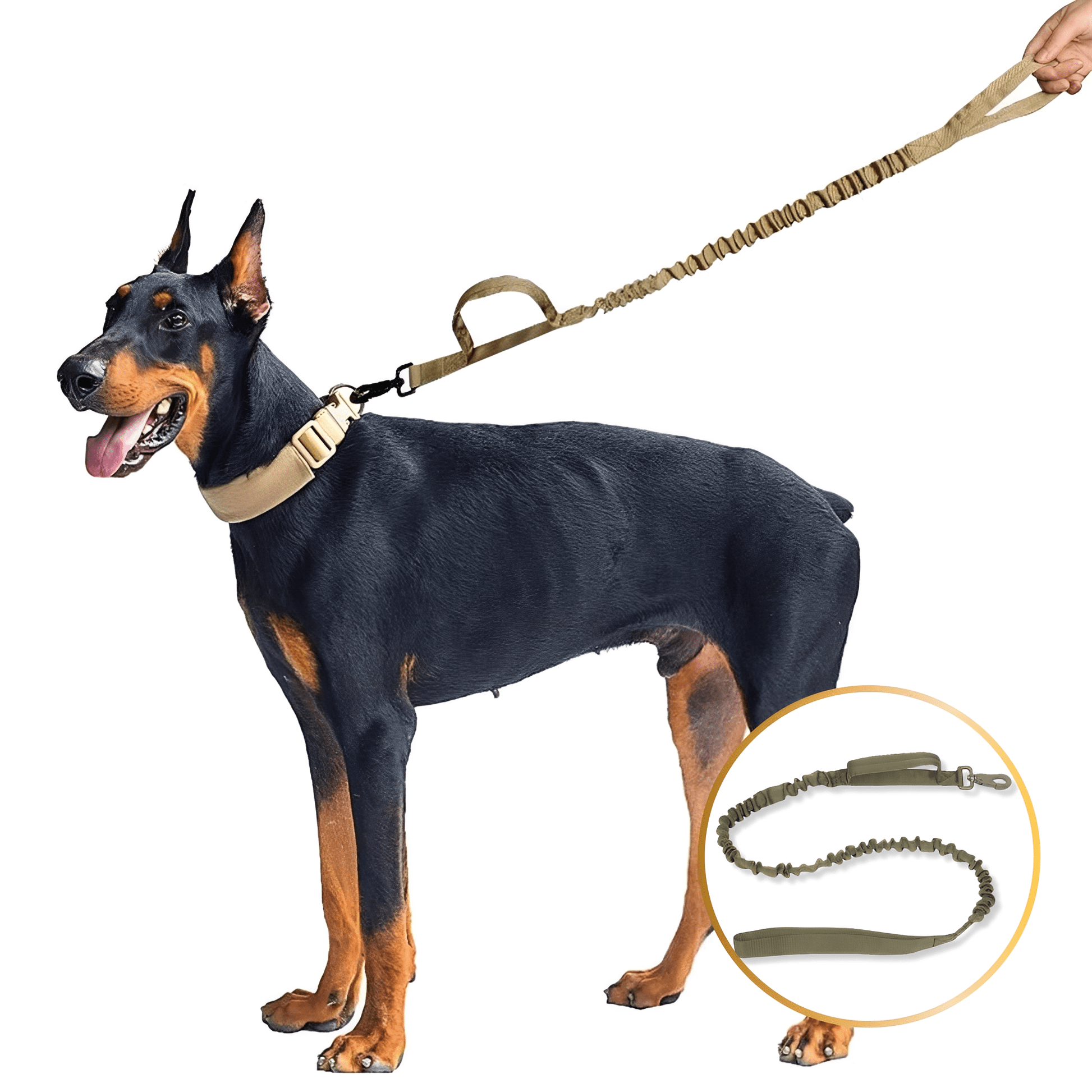 FortiCollar - Tactische Krachtige Hondenhalsband - Mivero