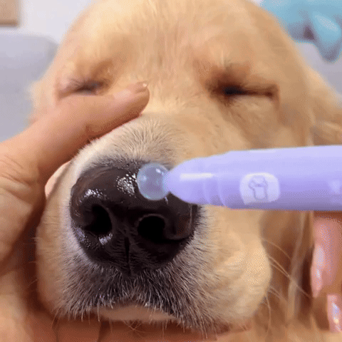 Pawfect - Liksafe Hydraterende Pootolie voor Huisdieren