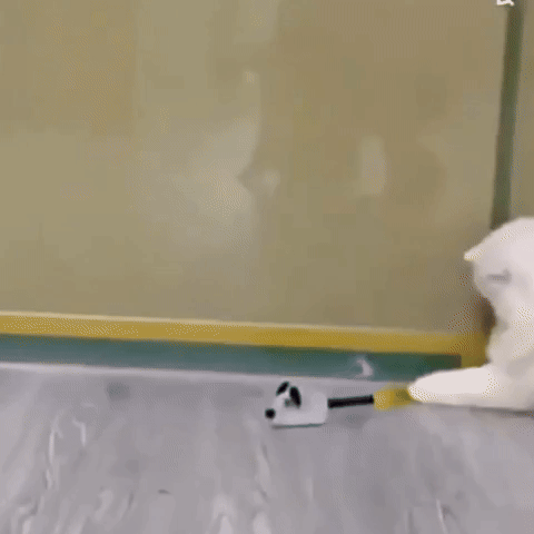 Chirpster - Interactief Chirpend Kattenspeeltje