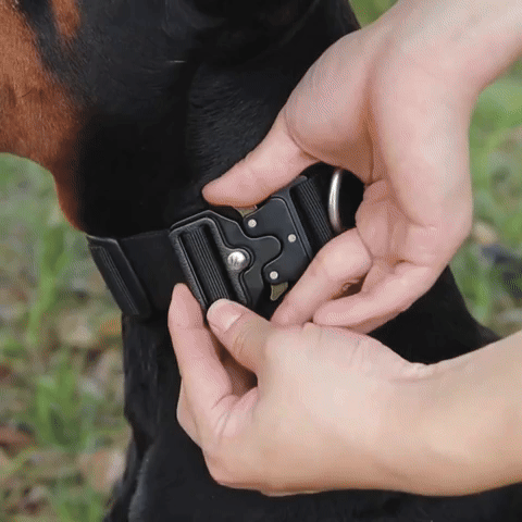 GripMax - Sterke Handgreep Hondenhalsband