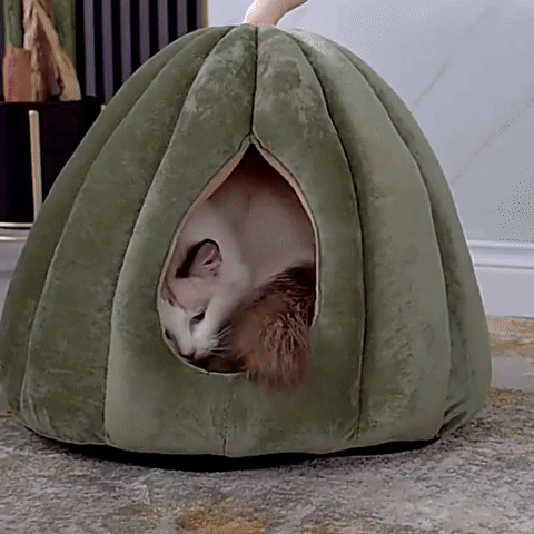 PumpDen - Knusse Geborgenheidsdierenhut