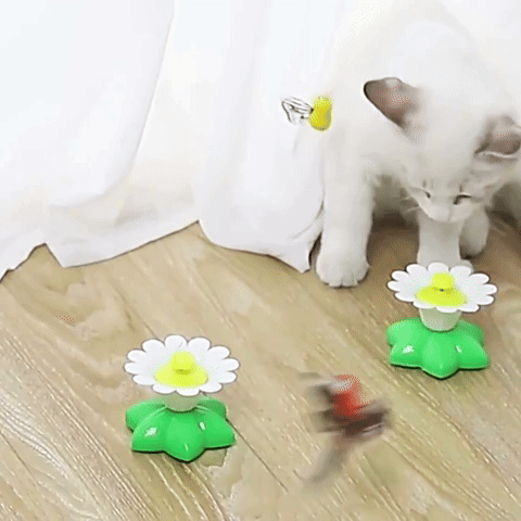 CatCho -  Interactief Bewegend Kattenspeeltje