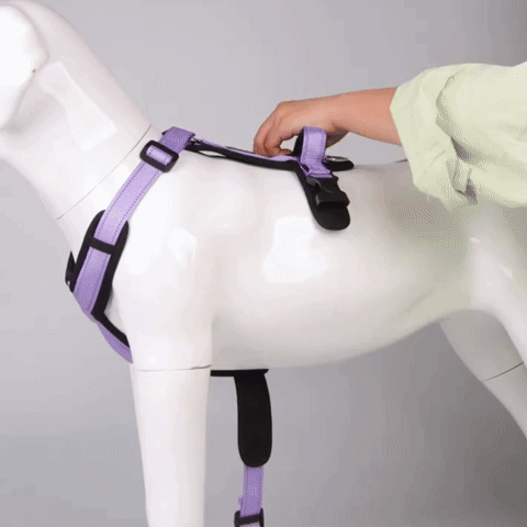 StayPut - Verstelbaar No-Pull Hondentuig
