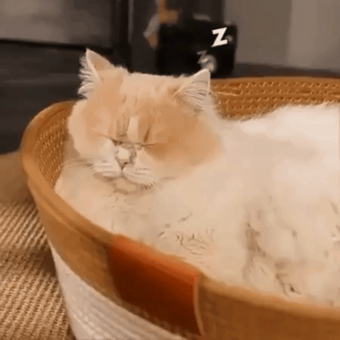 PawBasket - Katoenen Gevlochten Kattenmand