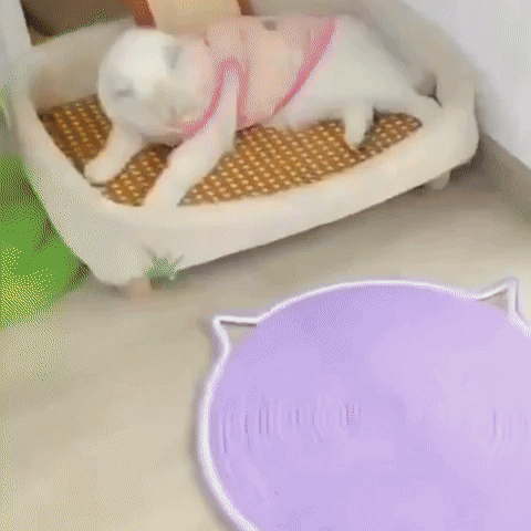 PurrPad - Katoenen Katten Krabmat