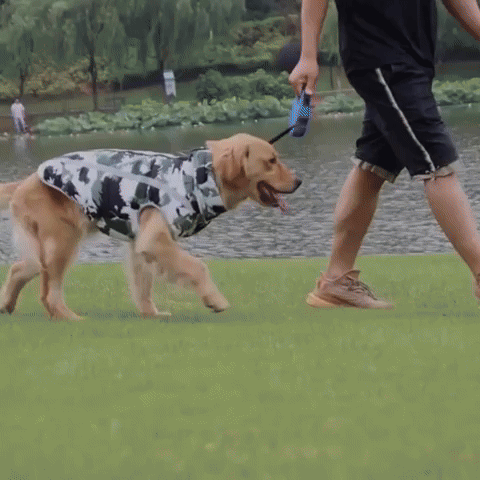 PawProof - Waterdichte Reflecterende Hondencoat