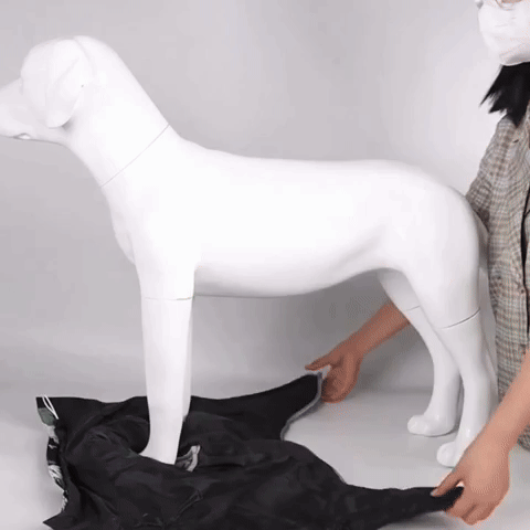 PawProof - Waterdichte Reflecterende Hondencoat