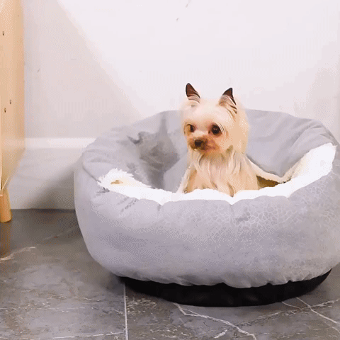CuddleCave - Knusse Graafbare Huisdiermand